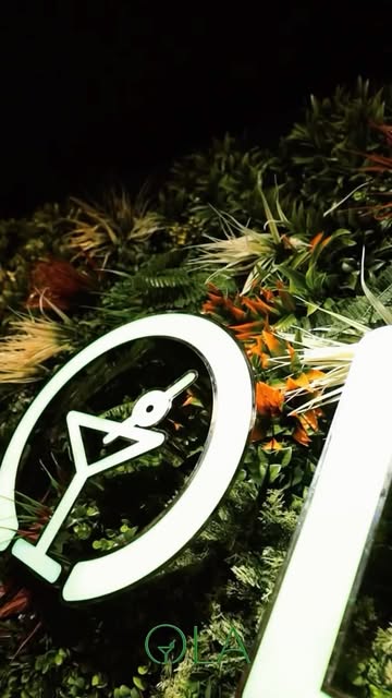Dettaglio del logo Ola immerso nella parete di foglie
