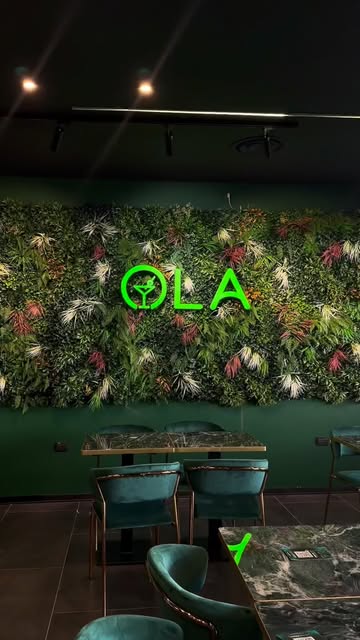 La parete verde e le sedute della sala Ola Shisha
